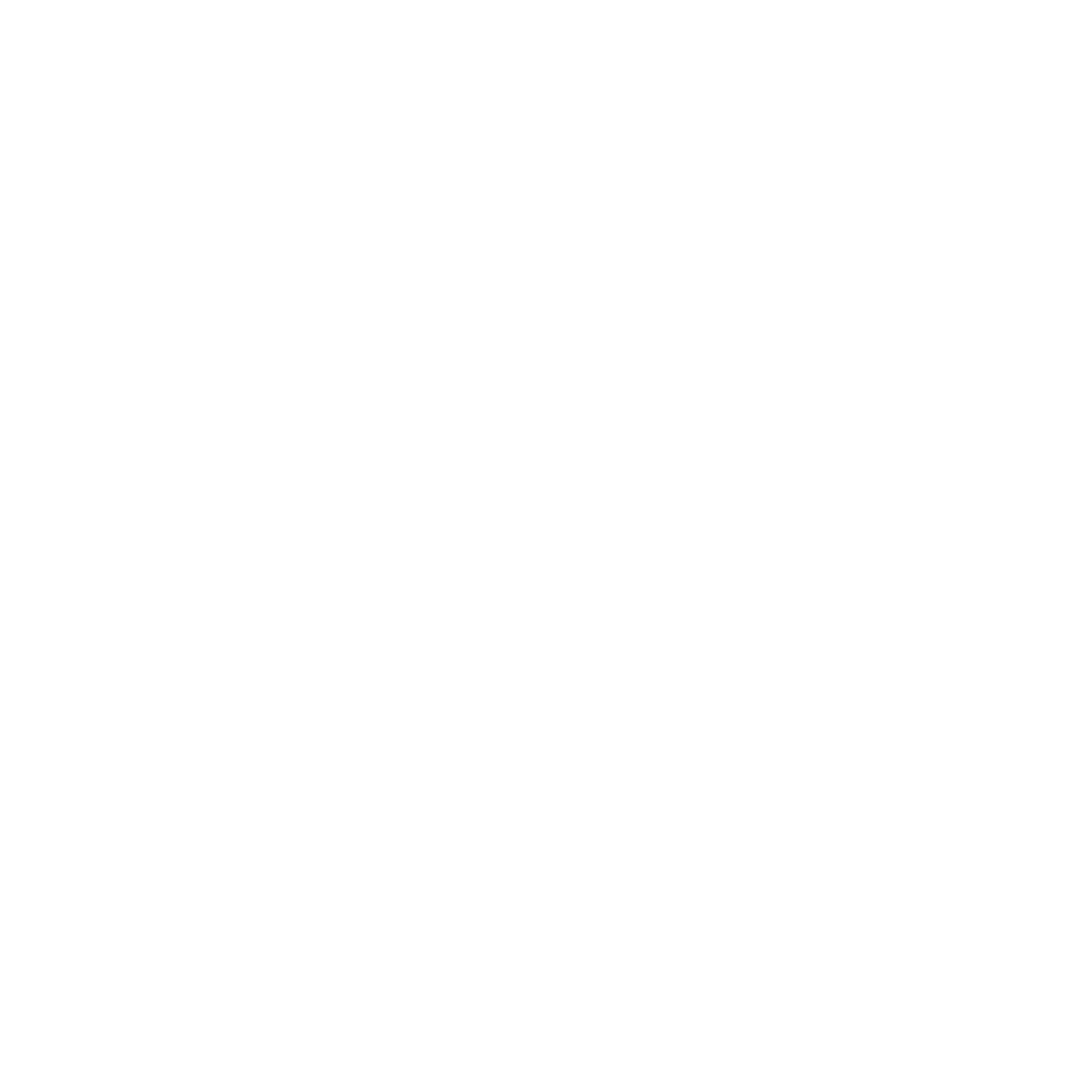 logo - qonex blanc
