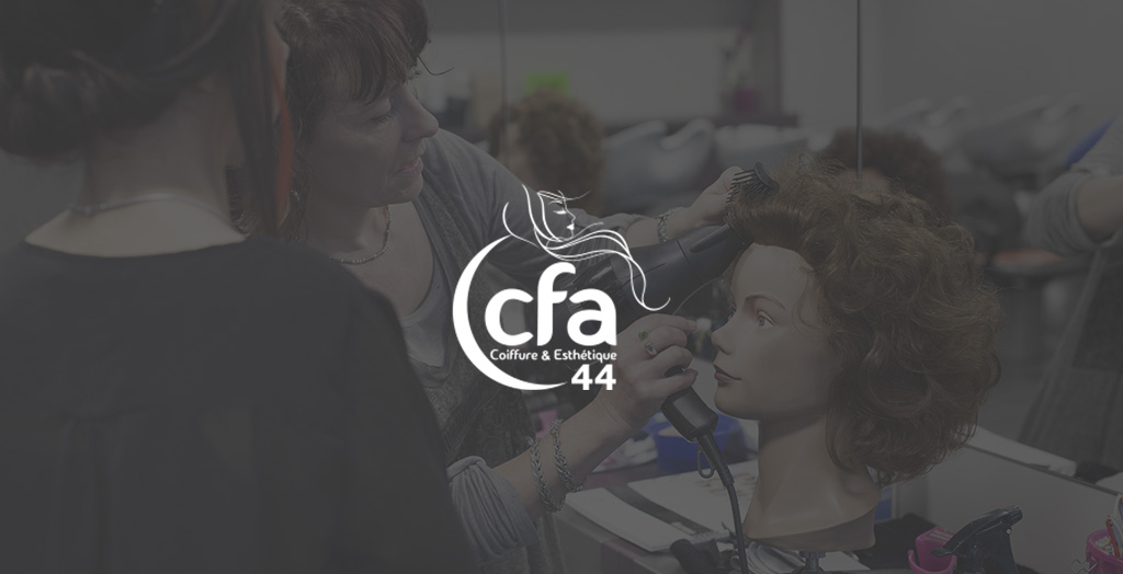 Site Web Pour Létablissement Scolaire Cfa Coiffure And Esthétique Agence Galopins 7389