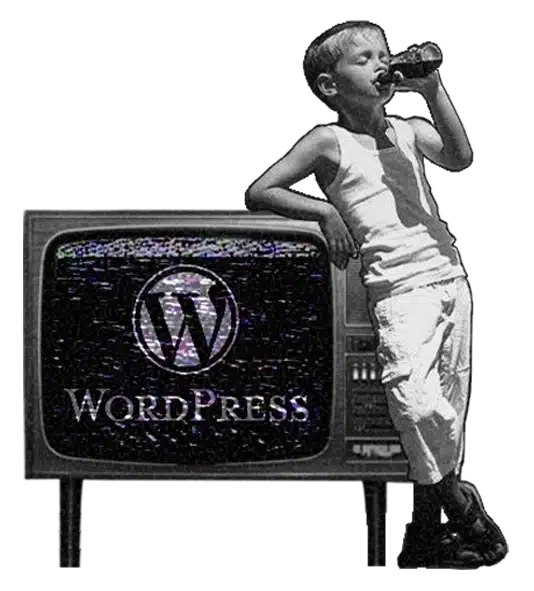 Agence Web WordPress